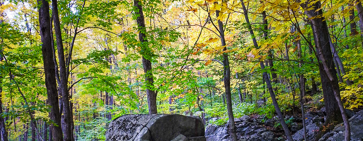 Fall Foliage Hike in the Berkshires with ECCN